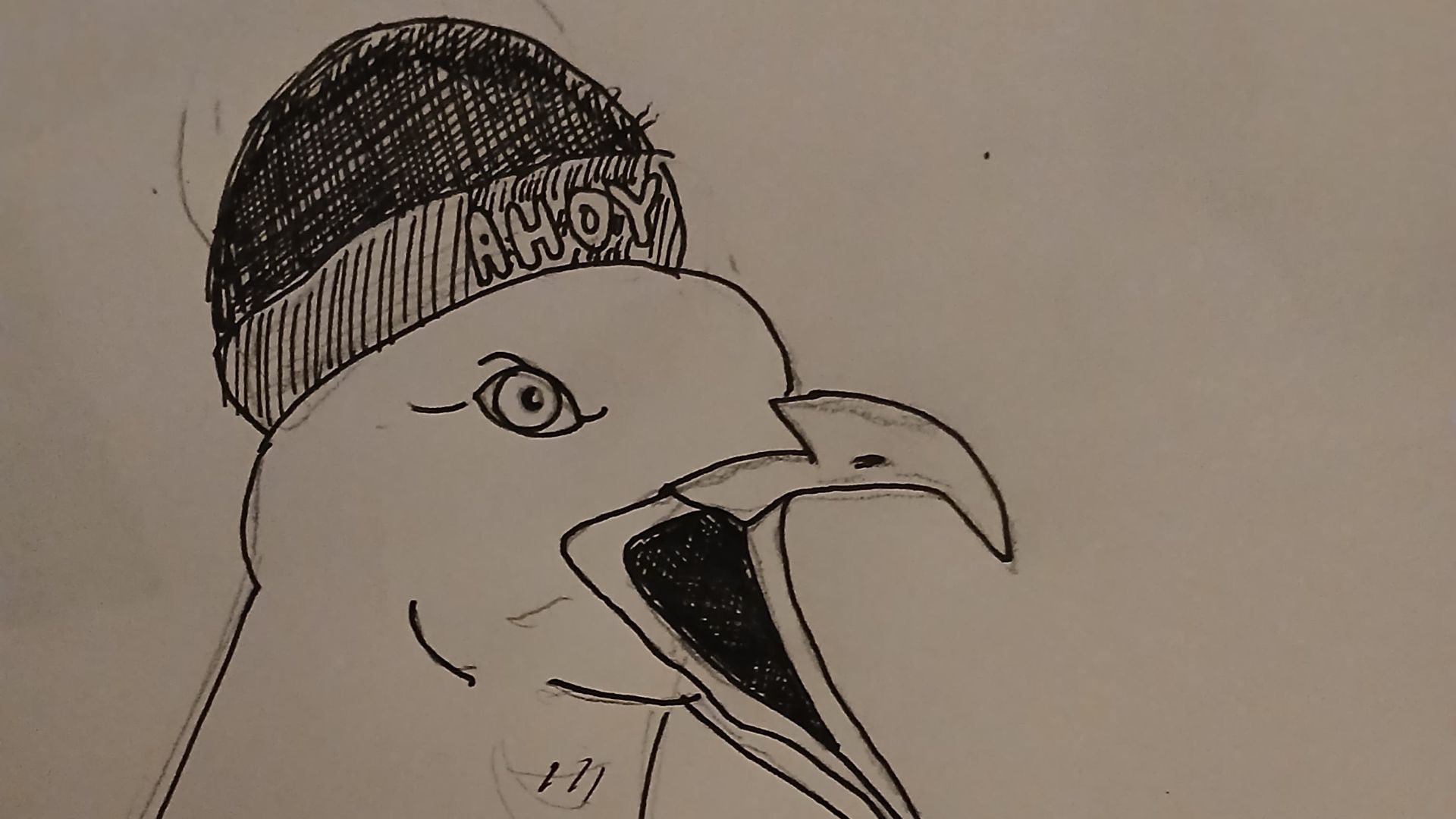 Hand-drawn AHOY bird illustration wearing a beanie